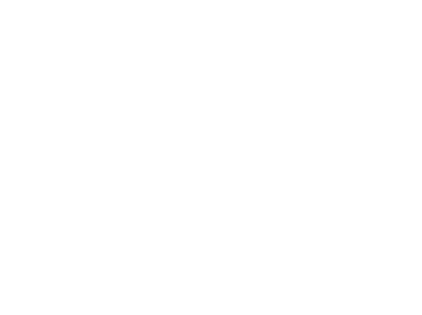 Team101